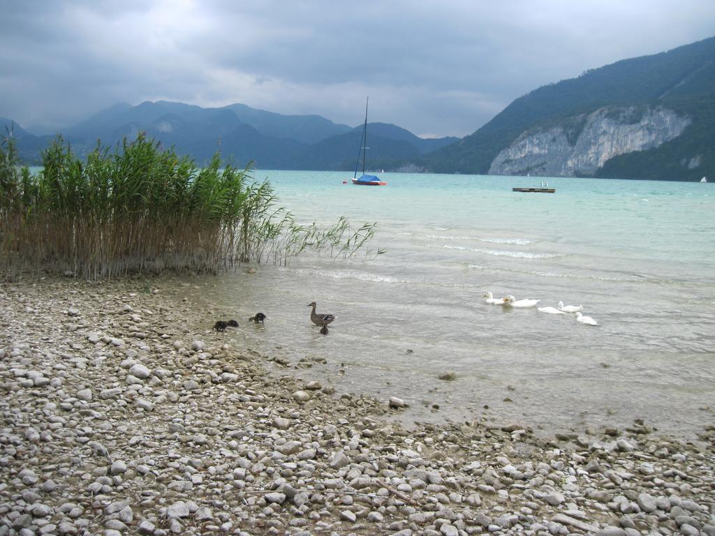 Landhaus Leitner Am Wolfgangsee Sankt Gilgen Exteriör bild