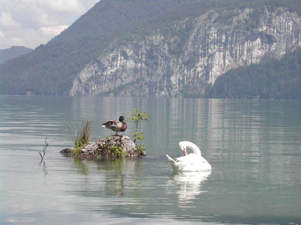 Landhaus Leitner Am Wolfgangsee Sankt Gilgen Exteriör bild